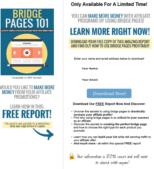 Bridge Pages 101 PLR Squeeze Page Bridge Pages 101 PLR Squeeze Page