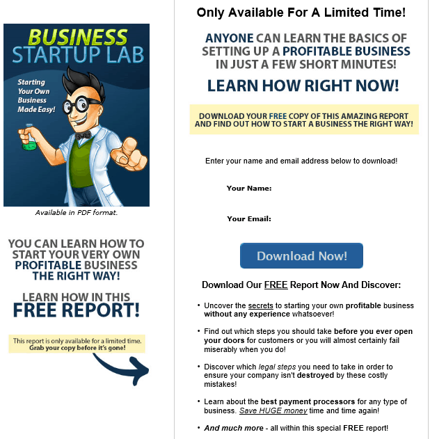 Business Startup PLR Lead Magnet Kit Squeeze Page