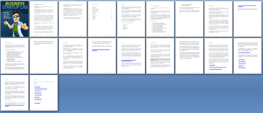 Business Startup PLR Report