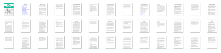 CPA Fortune PLR eBook Resell PLR Screenshot CPA Fortune PLR eBook Resell PLR Screenshot