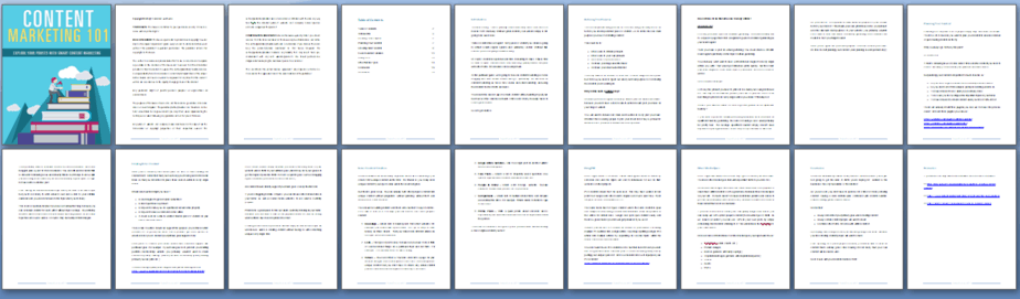Content Marketing 101 PLR Lead Magnet Report Sneak Preview Content Marketing 101 PLR Lead Magnet Report Sneak Preview