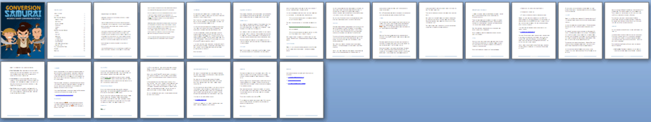 Conversion Tactics PLR Report Sneak Preview Conversion Tactics PLR Report Sneak Preview