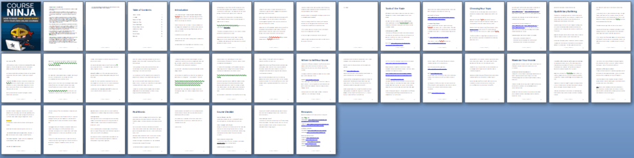 Course Ninja PLR Lead Magnet Report Sneak Preview Course Ninja PLR Lead Magnet Report Sneak Preview