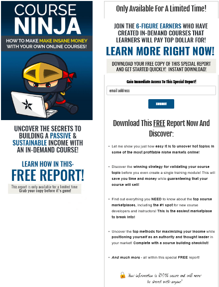 Course Ninja PLR Lead Magnet Squeeze Page Course Ninja PLR Lead Magnet Squeeze Page