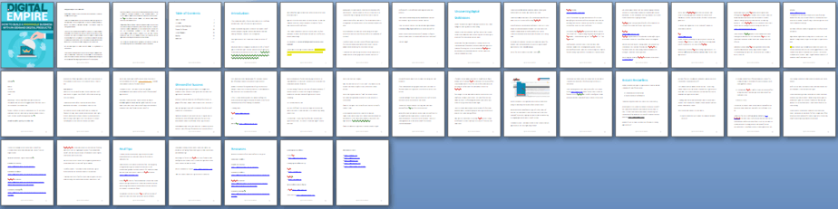 Digital Empire PLR Report Sneak Preview Digital Empire PLR Report Sneak Preview