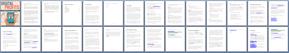 Digital Profits PLR Report Sneak Preview Digital Profits PLR Report Sneak Preview