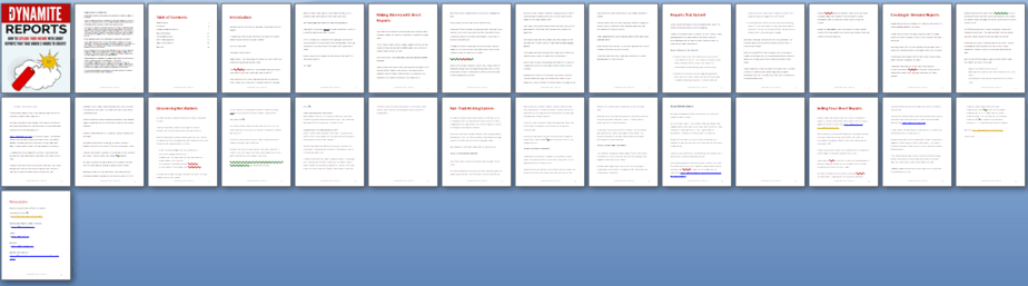 Dynamite Reports Profits PLR Report Sneak Preview