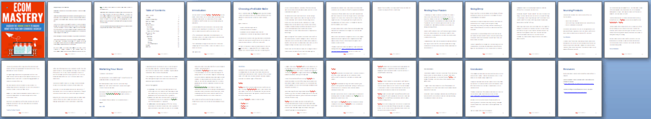 Ecommerce Business Mastery PLR Report Sneak Preview Ecommerce Business Mastery PLR Report Sneak Preview