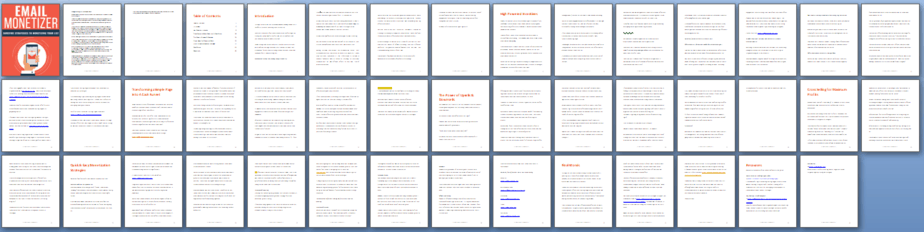 Email Monetizer PLR Report Sneak Preview Email Monetizer PLR Report Sneak Preview