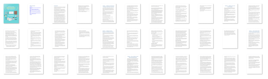 Establishing Brand Recognition PLR eBook Resell PLR Screenshot Establishing Brand Recognition PLR eBook Resell PLR Screenshot
