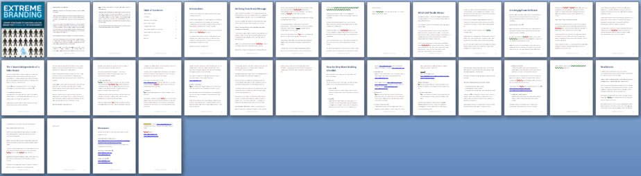Extreme Branding PLR Report Sneak Preview