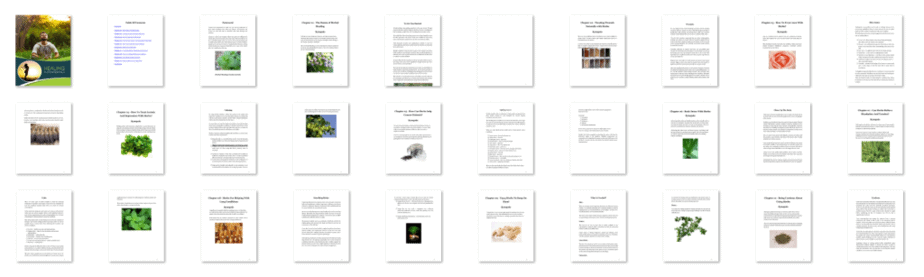 Healing Fundamentals PLR eBook Resell PLR Screenshot Healing Fundamentals PLR eBook Resell PLR Screenshot