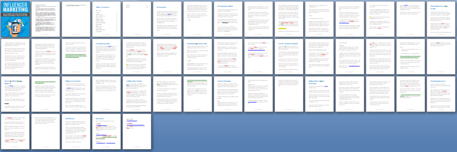 Influencer Marketing PLR Report Sneak Preview