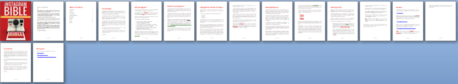 Instagram PLR Report Sneak Preview