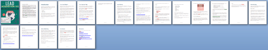 Lead Acquisition 101 PLR Report Sneak Preview Lead Acquisition 101 PLR Report Sneak Preview