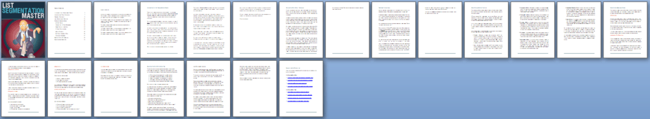 List Segmentation Master PLR Report Sneak Preview List Segmentation Master PLR Report Sneak Preview