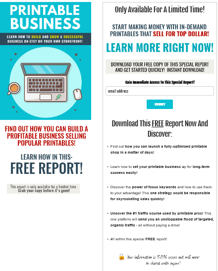 Printable Business PLR Squeeze Page