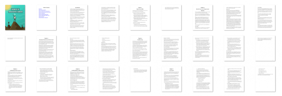Secrets to Successful Career PLR eBook Resell PLR