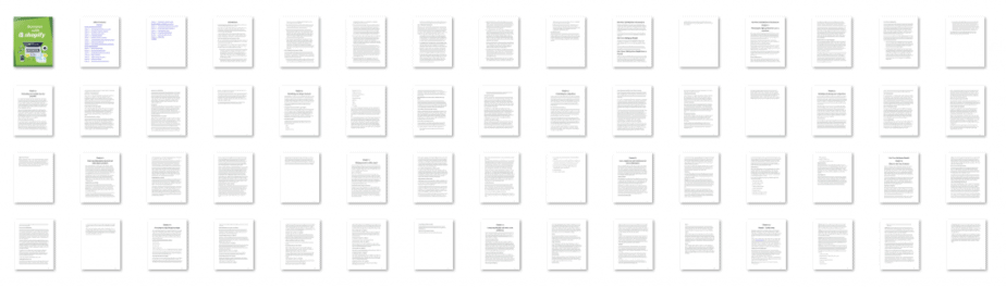 Success with Shopify PLR eBook Resell PLR Screenshot Success with Shopify PLR eBook Resell PLR Screenshot