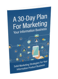 A 30 Day Plan For Marketing Your Information Business PLR Report