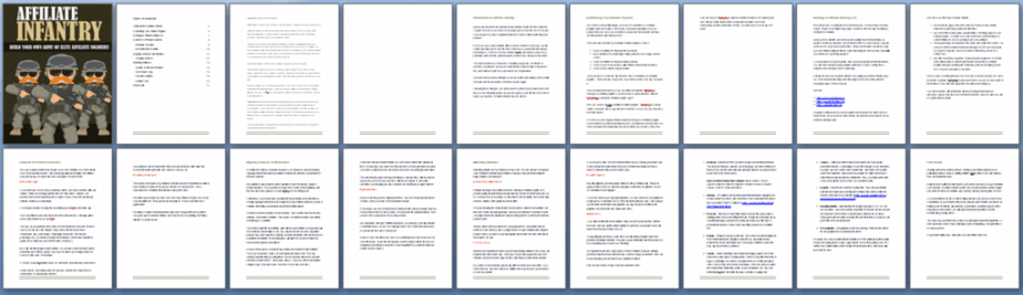 Affiliate Infantry PLR Report Sneak Preview Affiliate Infantry PLR Report Sneak Preview