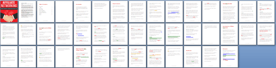 Affiliate Networking PLR Report Sneak Preview