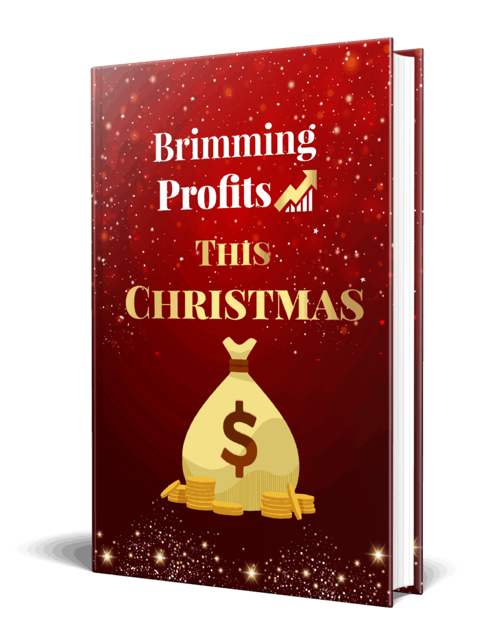 Brimming Profits This Christmas PLR eBook Resell PLR