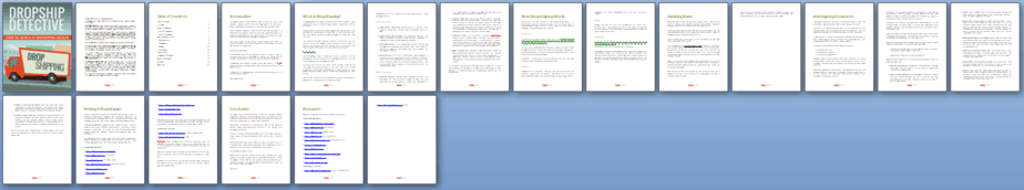 Dropship Detective PLR Report Sneak Preview Dropship Detective PLR Report Sneak Preview