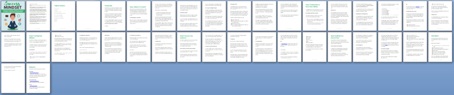 Entrepreneur Success Mindset PLR Report Sneak Preview