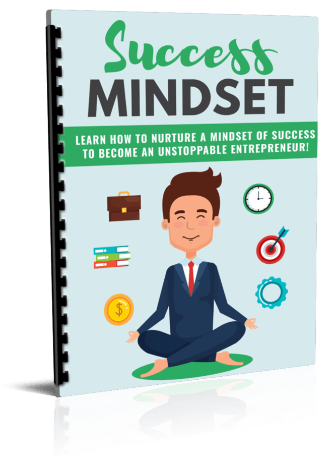 Entrepreneur Success Mindset PLR Report eCover