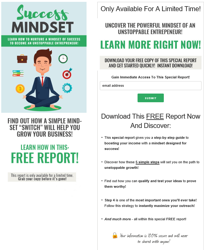 Entrepreneur Success Mindset PLR Squeeze Page