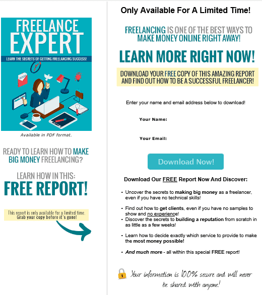 Freelance Expert PLR Squeeze Page Freelance Expert PLR Squeeze Page