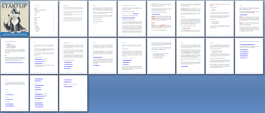 IM Startup PLR Report Sneak Preview IM Startup PLR Report Sneak Preview