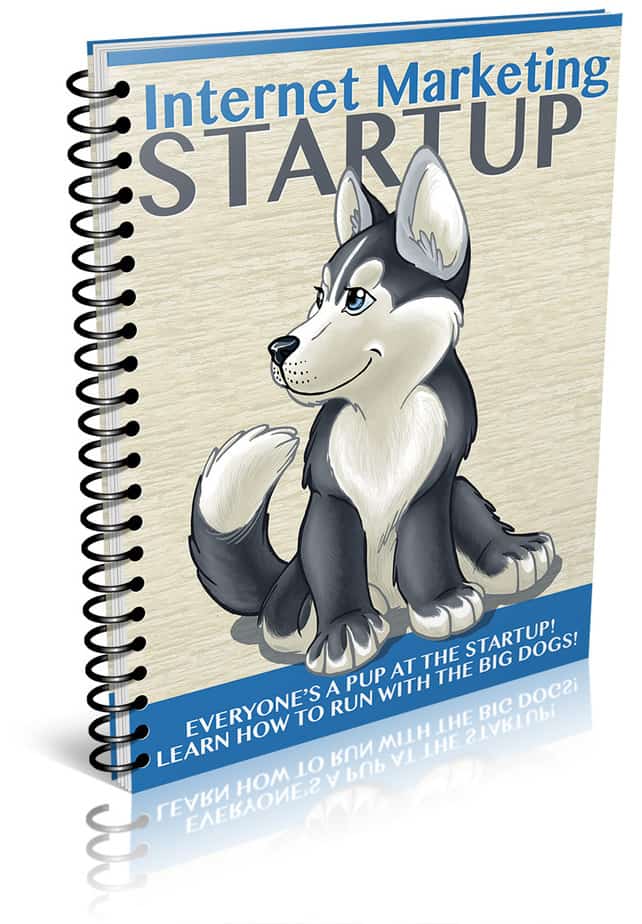 IM Startup PLR Report eCover