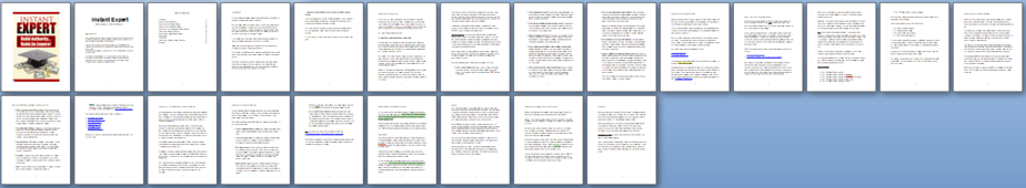 Instant Expert PLR Report Sneak Preview Instant Expert PLR Report Sneak Preview