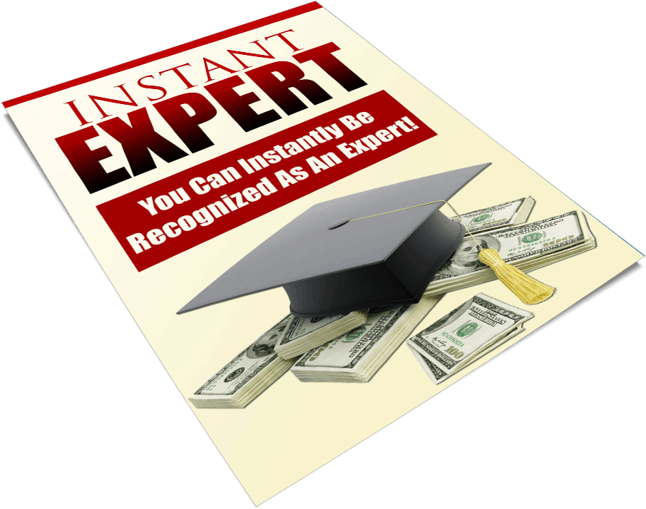 Instant Expert PLR Report eCover