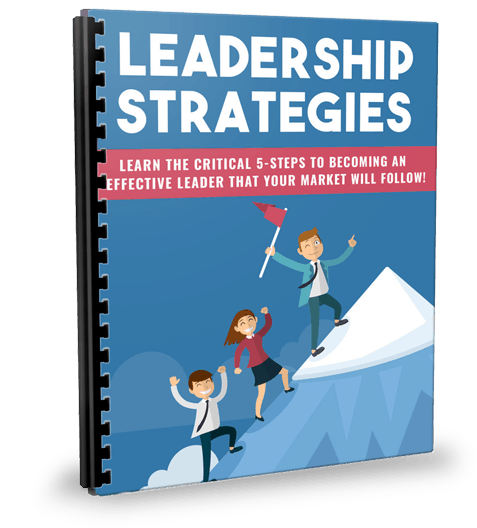Leadership Strategies PLR Report eCover