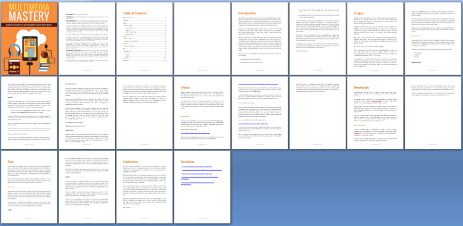 Multimedia SEO Mastery PLR Report Sneak Preview
