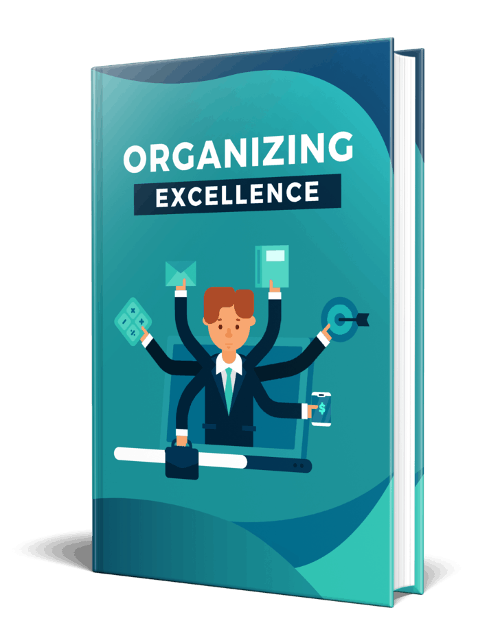 Organizing Excellence PLR eBook Resell PLR