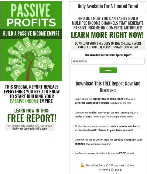 Passive Profits PLR Squeeze Page