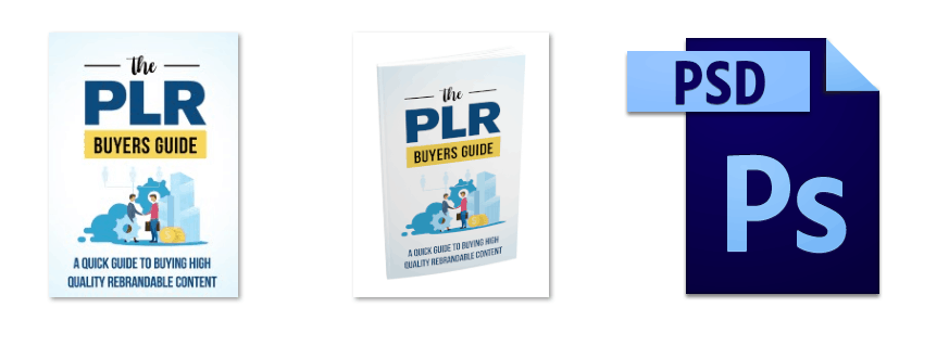 The PLR Buyers Guide Graphics