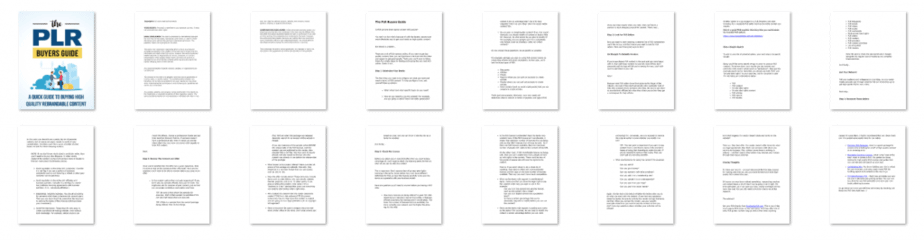 The PLR Buyers Guide PLR Report | A Guide To Buying PLR Content