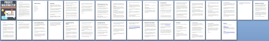 PLR Profit Maximizer PLR Report Sneak Preview PLR Profit Maximizer PLR Report Sneak Preview