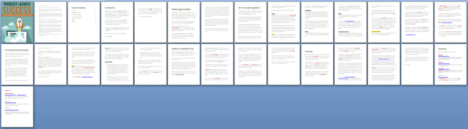 Product Launch Success PLR Report Sneak Preview