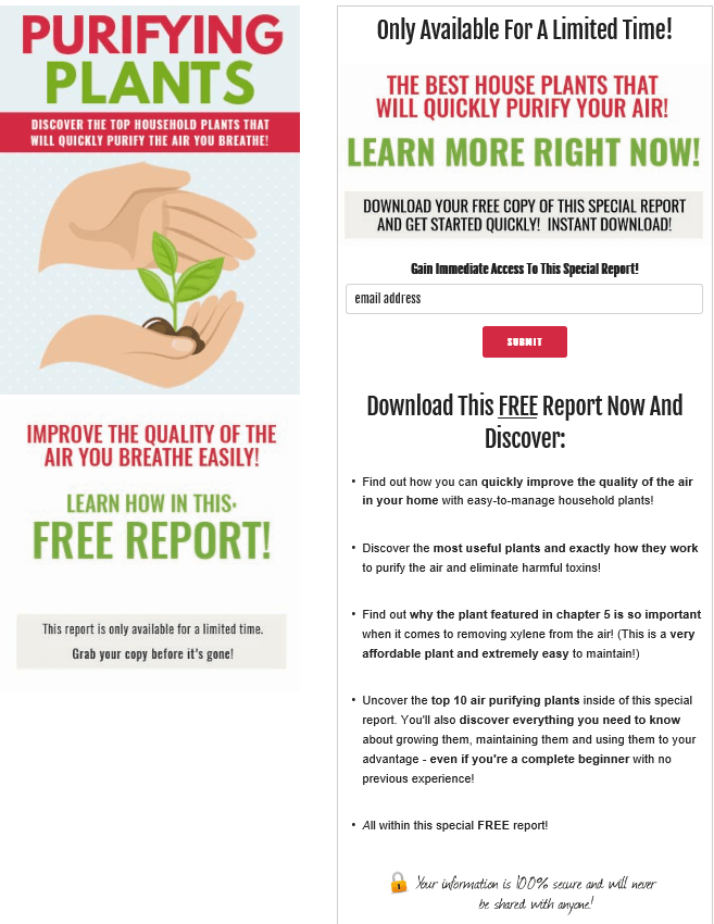 Purifying Plants PLR Squeeze Page