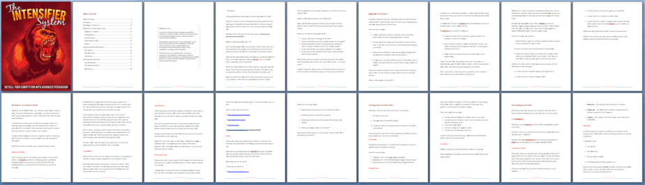 The Intensifier PLR Report Sneak Preview