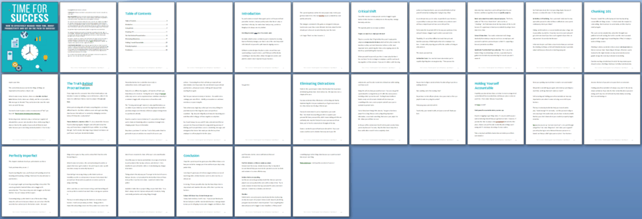 Time For Success PLR Report Sneak Preview