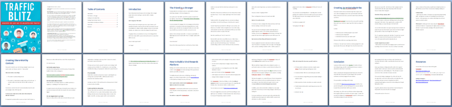 Traffic Blitz PLR Report Sneak Preview