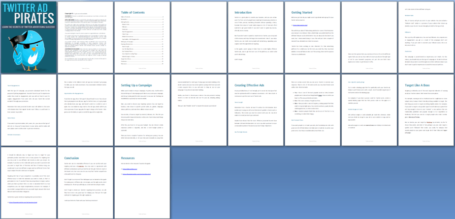 Twitter Ads PLR Report Sneak Preview Twitter Ads PLR Report Sneak Preview