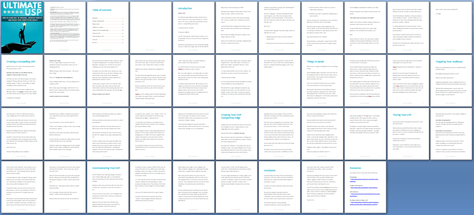 Ultimate USP PLR Report Sneak Preview